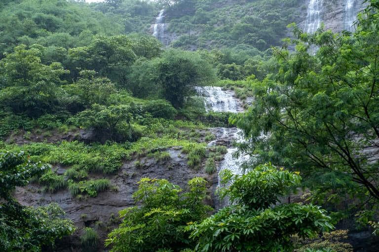 Meghalaya neighboring state