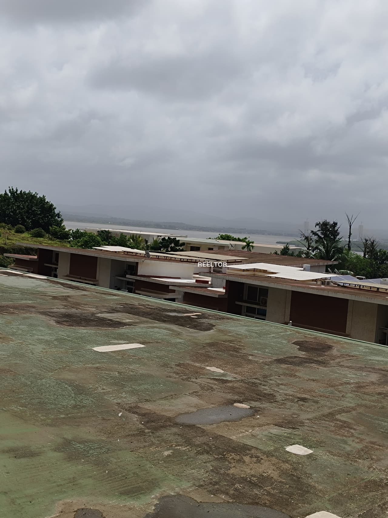 Image of 1 BHK Flat Carpet 852 sqft — Jub