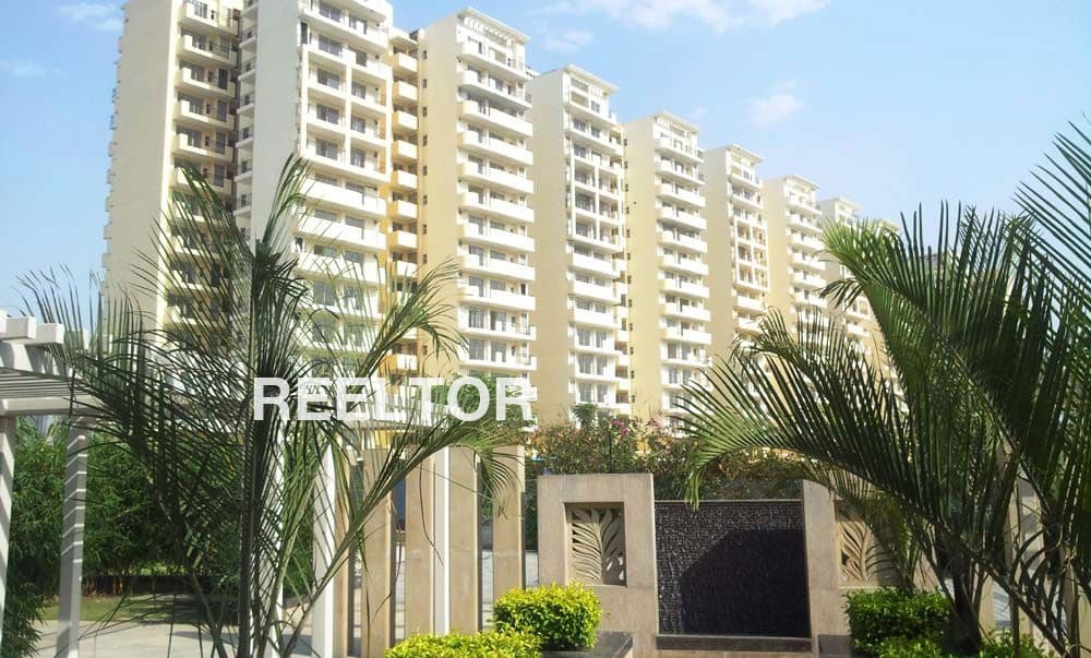 Flat For Rent In Tharola Kotkhai