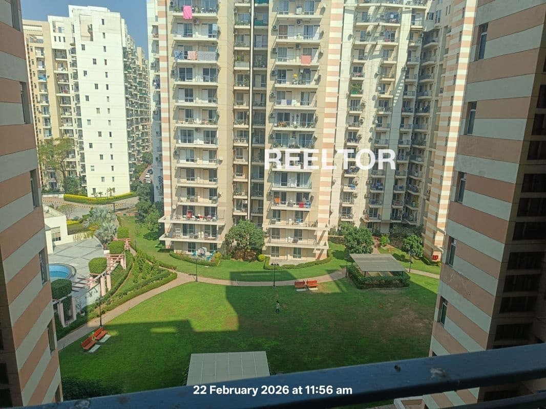 Image of Premium 2 BHK Flat for Rent in Arera Colony E-6, Bhopal