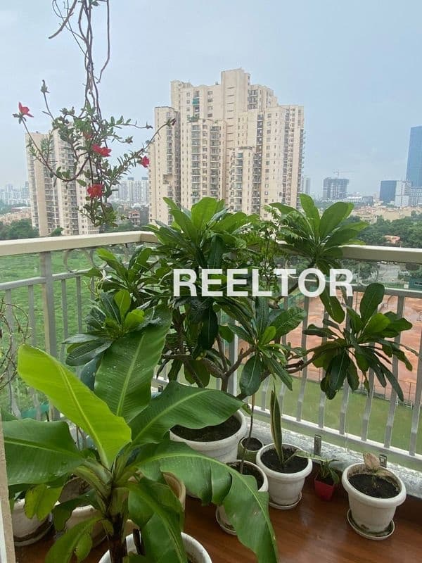 Image of Newly Built 2 BHK Flat for Sale in Munnad, Kasaragod