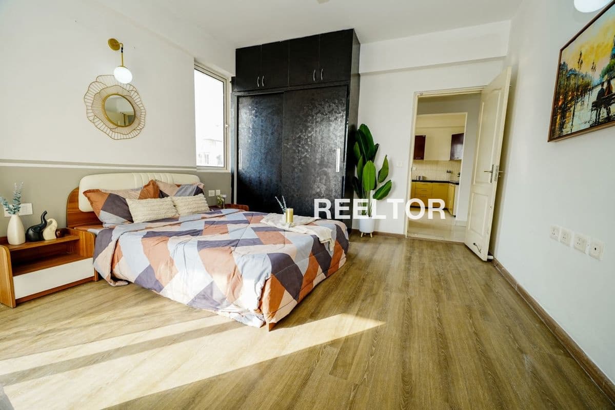 Image of Newly Renovated 1 BHK Flat in Chillan, Mandi