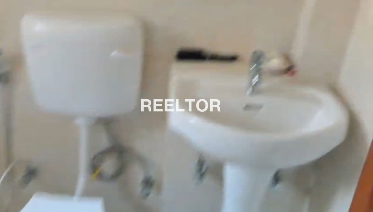 Flat For Rent In Thandidhar Rajgarh