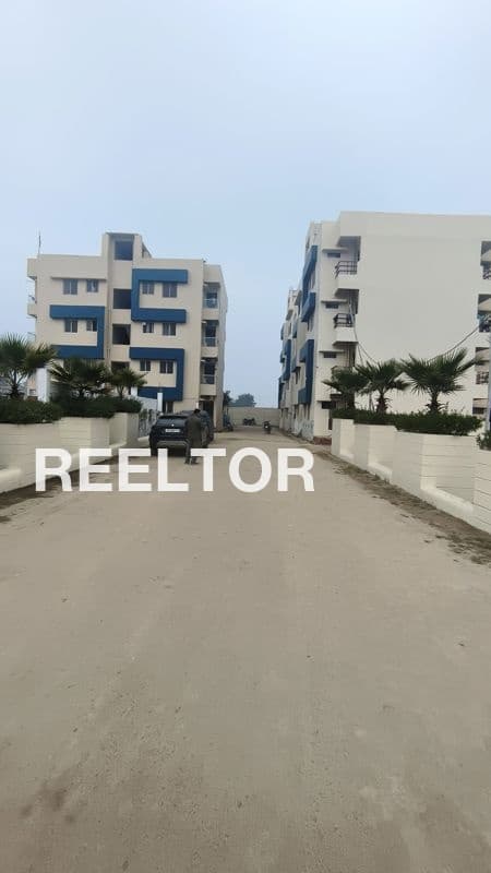 Flat For Sale In Singhana Dhana Buhana