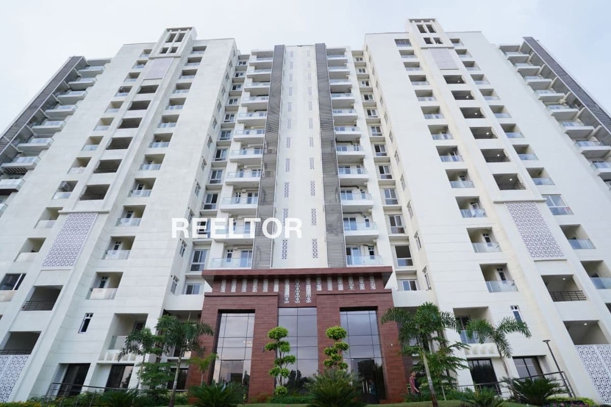 Image of Move-In-Ready 1 BHK Flat in Lagha