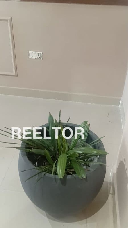 Flat For Sale In Sector 2 Kasauli