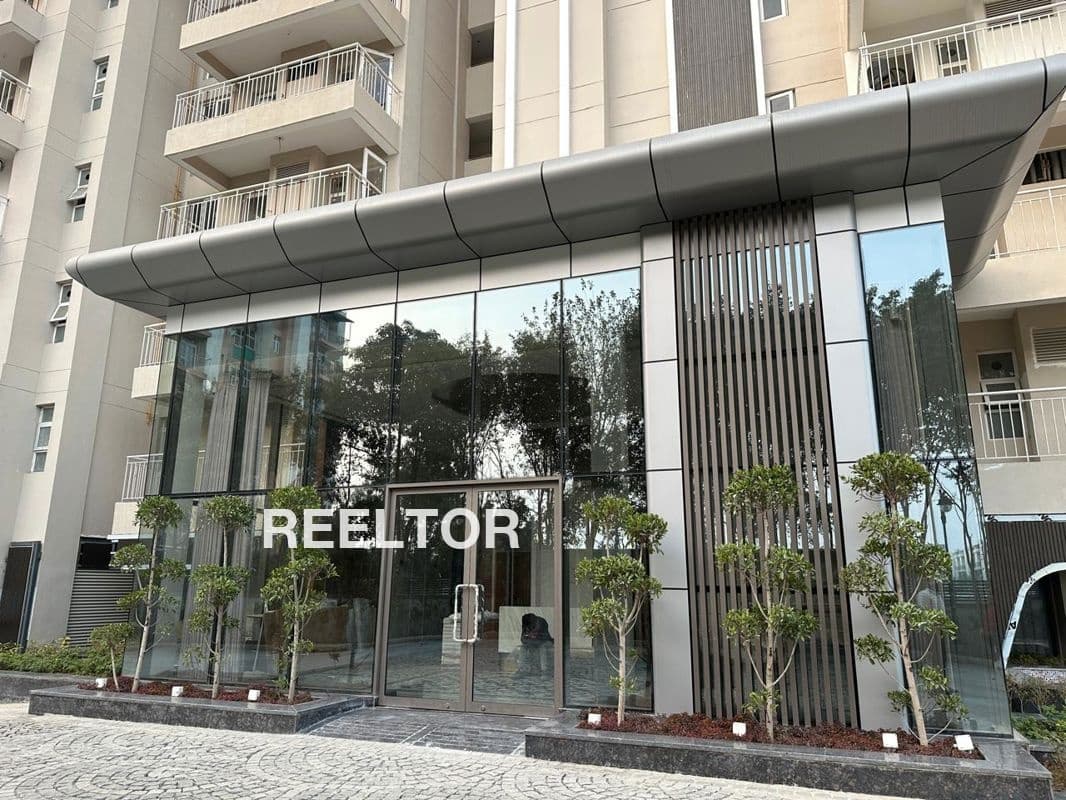 Flat For Rent In Pakhoria Hiranpur