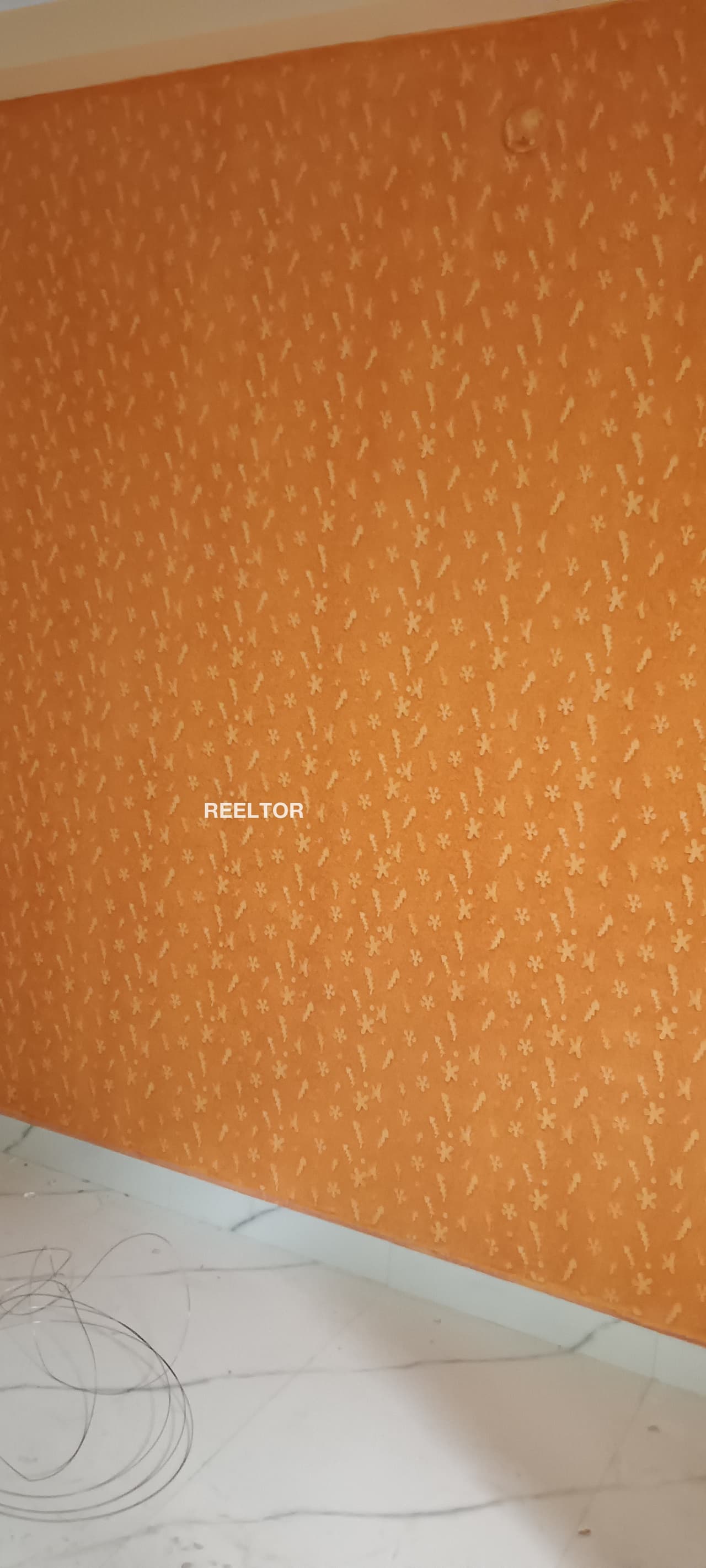 Flat For Rent In Sakhupura Assandh