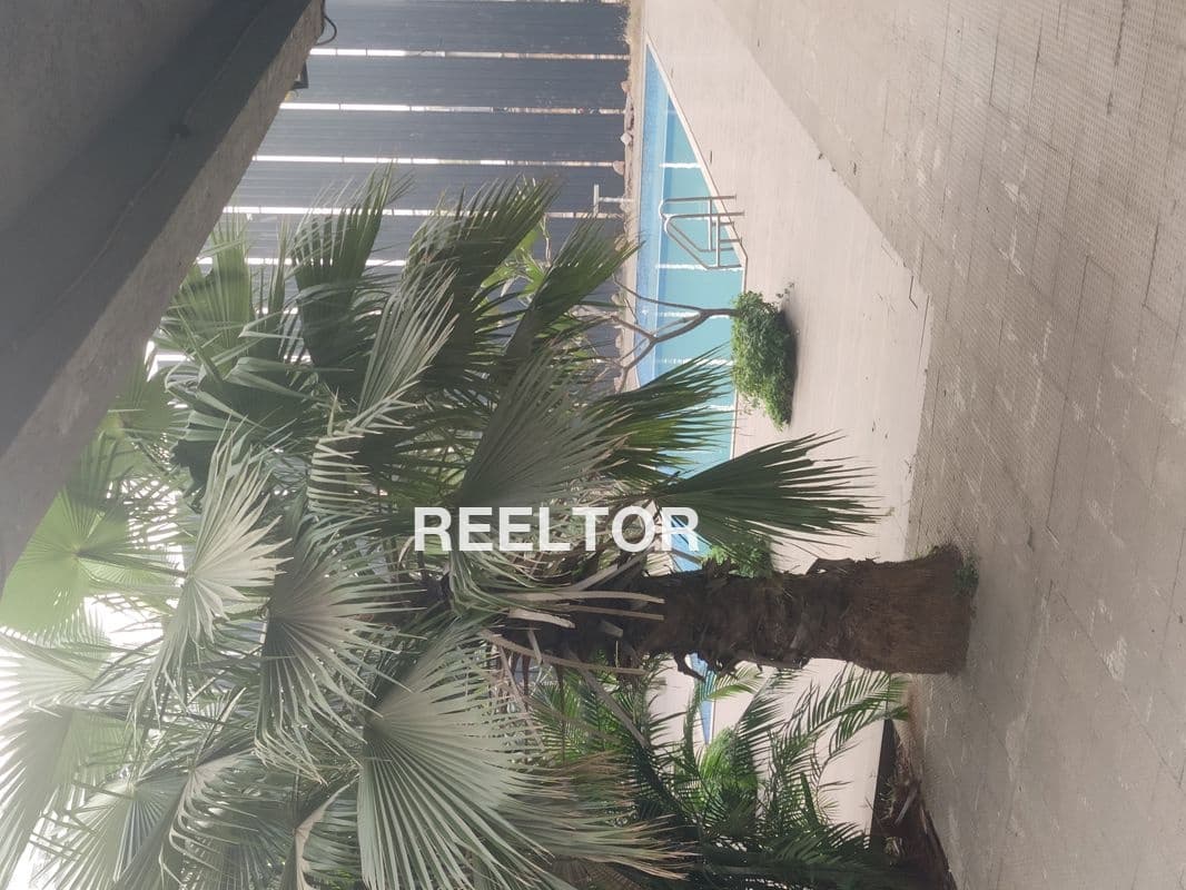 Image of Bisla: 2 BHK Flat for Rent