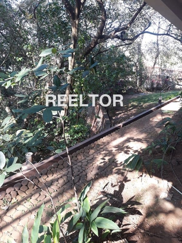 Image of Fully Ventilated 2 BHK Flat in Balthana