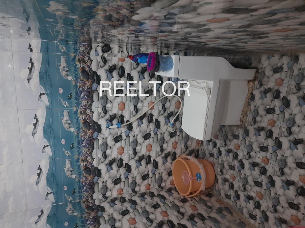 Pg For Sale In Menpuriya Vallabhnagar