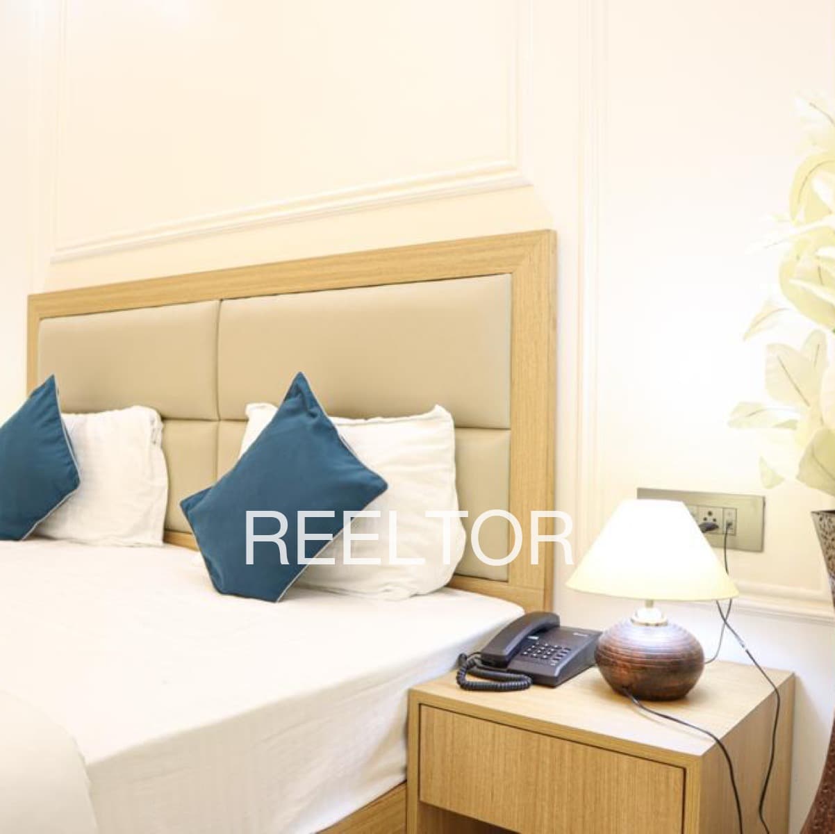 Pg For Sale In Mahod Kala Pawai