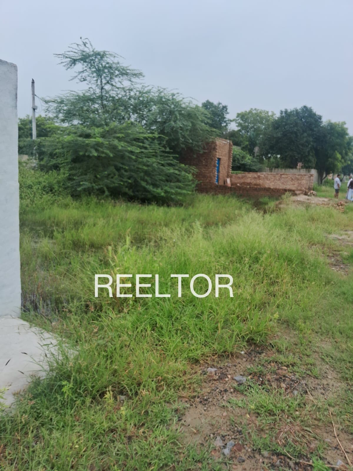Plots For Rent In Marha Bhau Dhaulpur