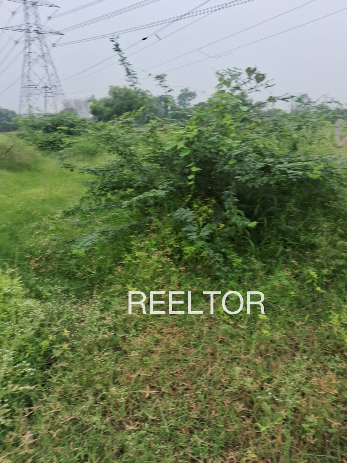 Plots For Rent In Akkalkot Maharashtra