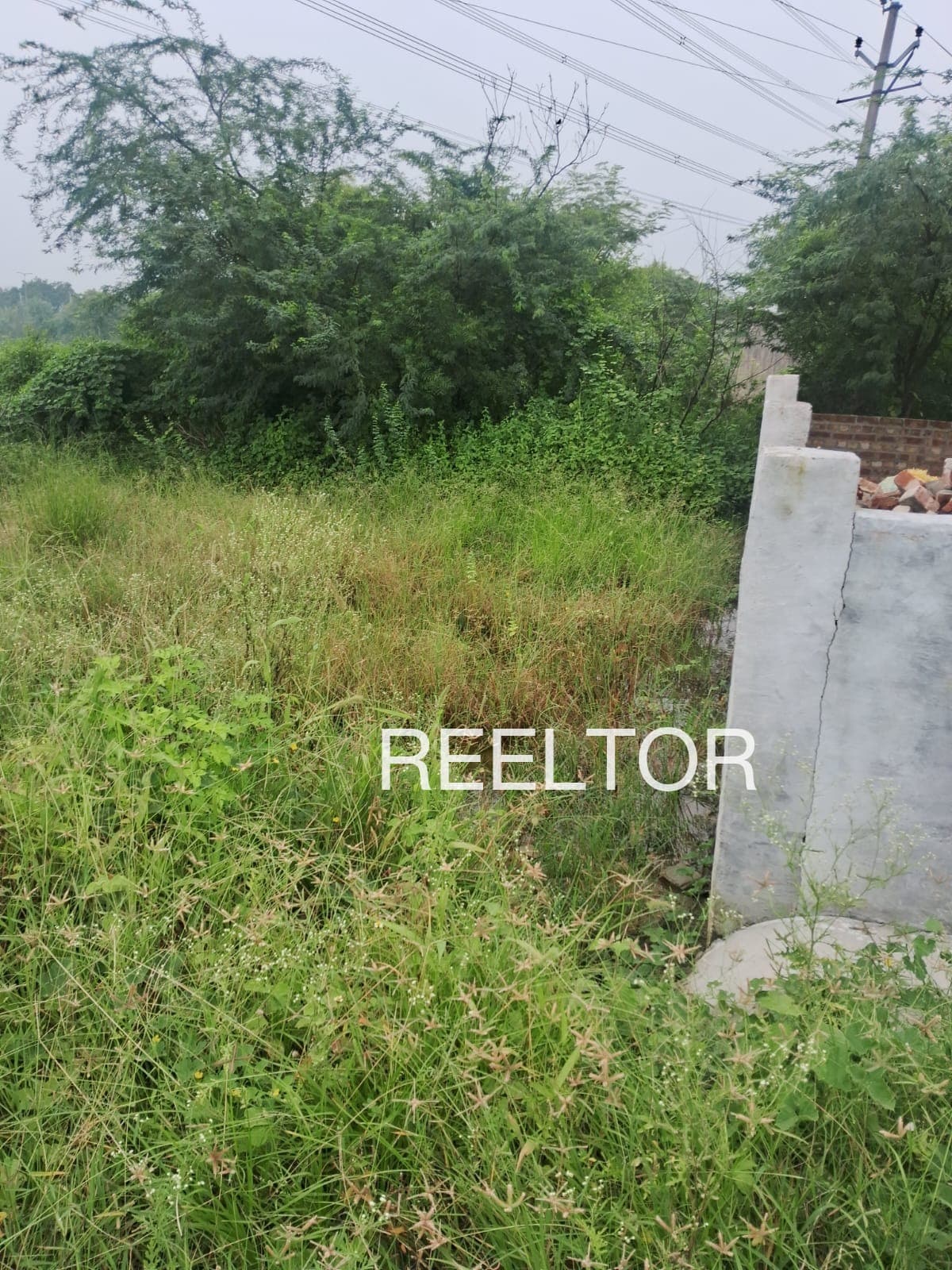 Plots For Rent In Bhavali Nandurbar