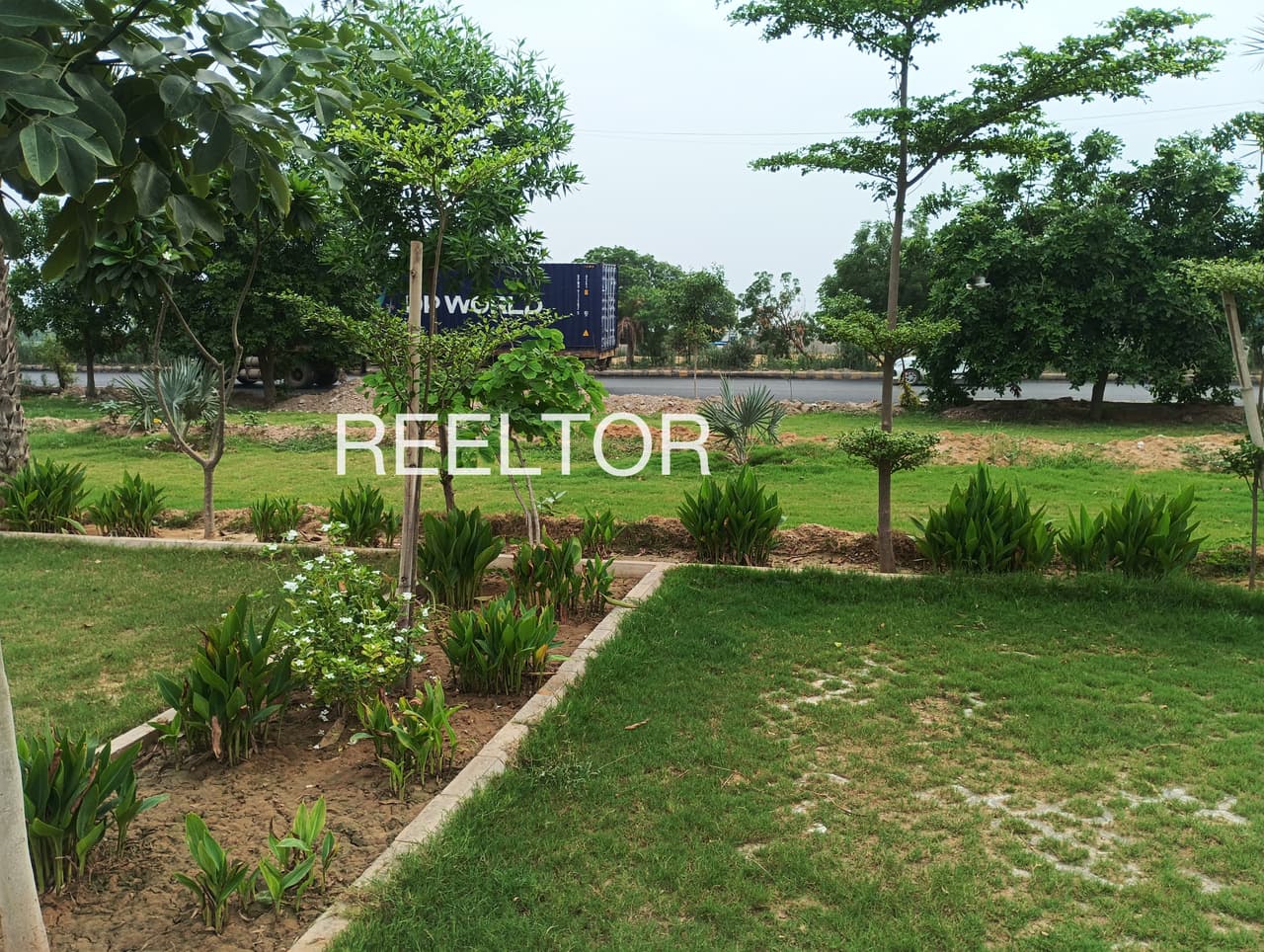 Plots For Rent In Thod Rajgarh