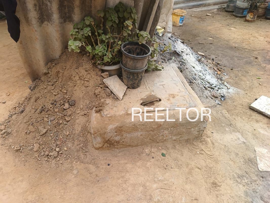 Plots For Rent In Sahli Kotli