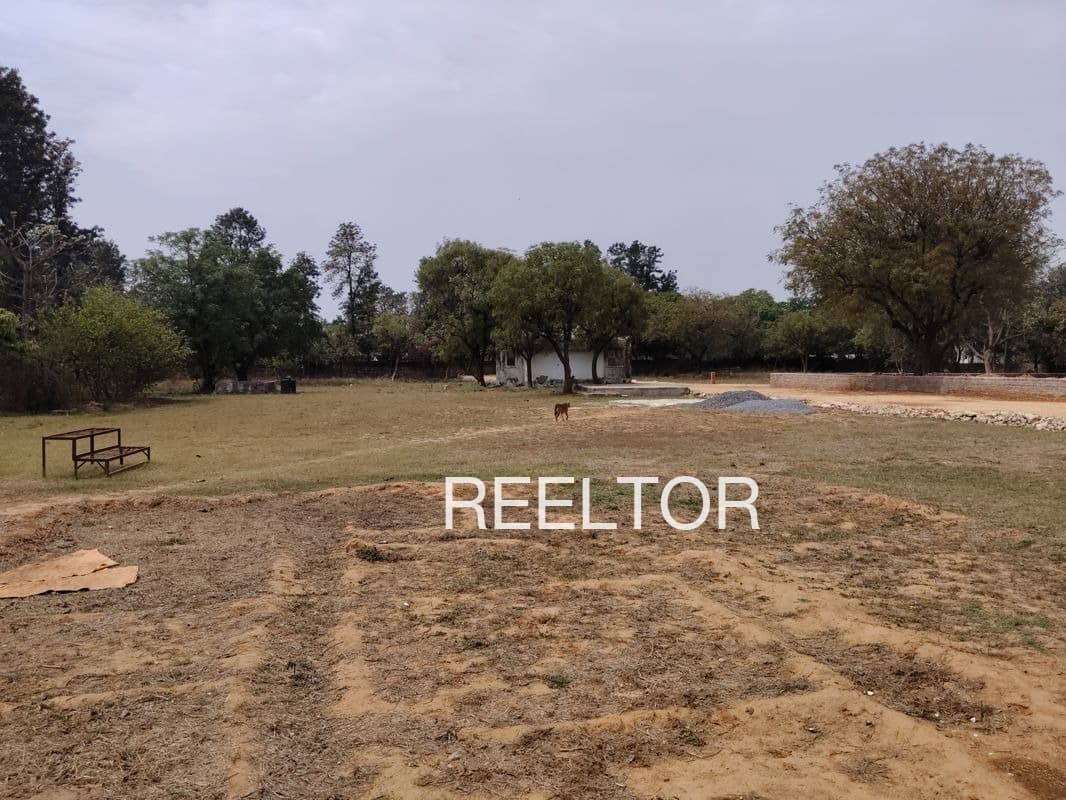 Plots For Rent In Pansohra Darlaghat