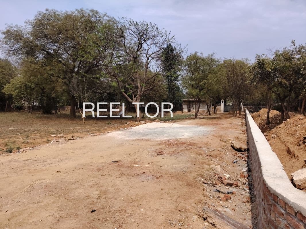 Plots For Rent In Moklasni Jodhpur