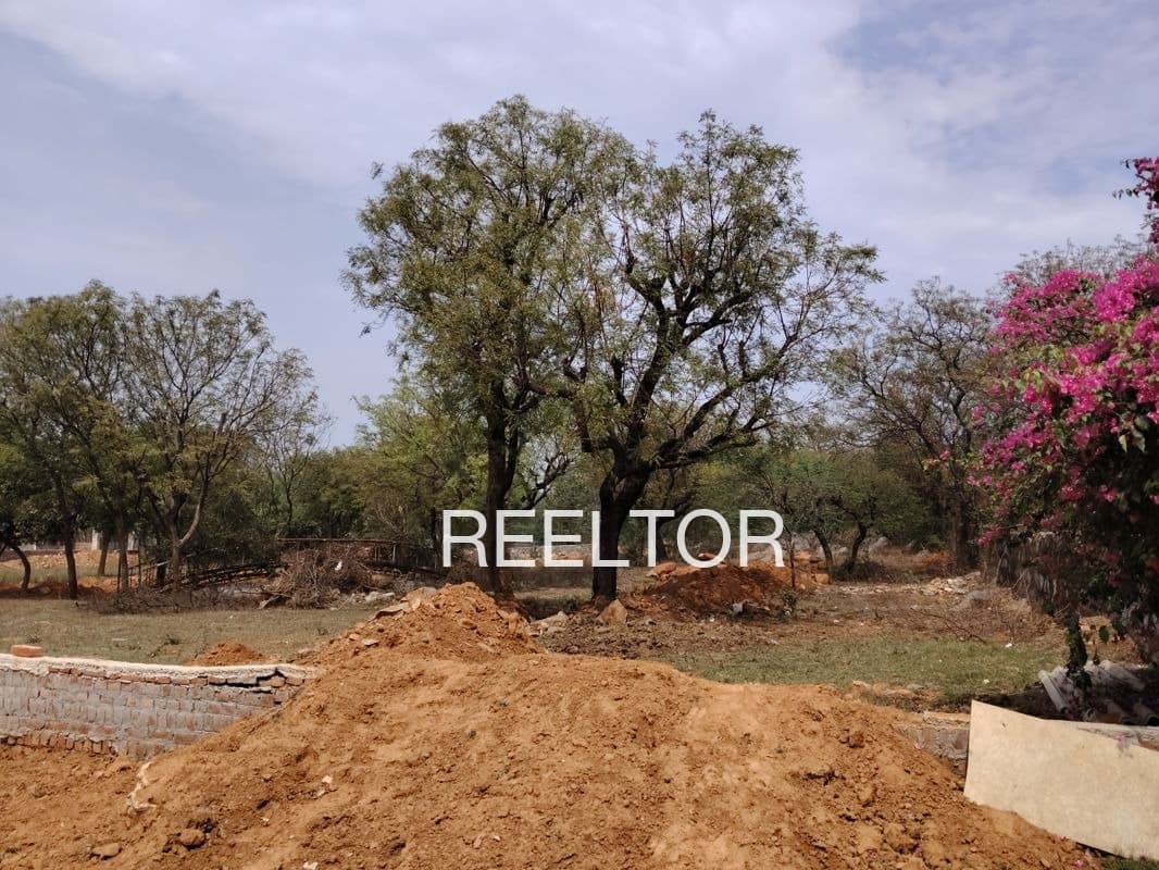 Plots For Rent In Konthanpalle Shivampet
