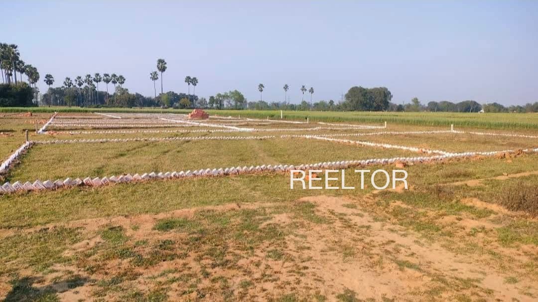 Plots For Rent In Padulyachiwadi Georai