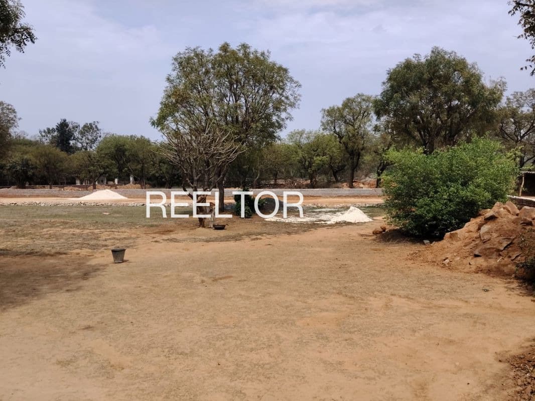 Plots For Rent In Dakana Theog