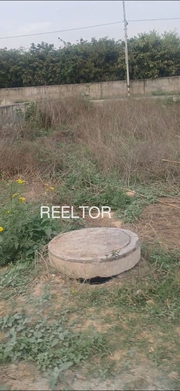 Plots For Rent In Dhanawade Ratnagiri