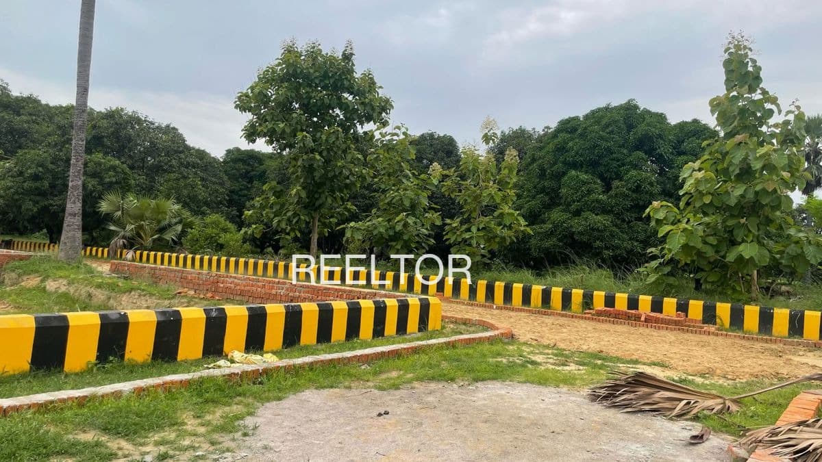 Plots For Rent In Chhuadehi Amarwara