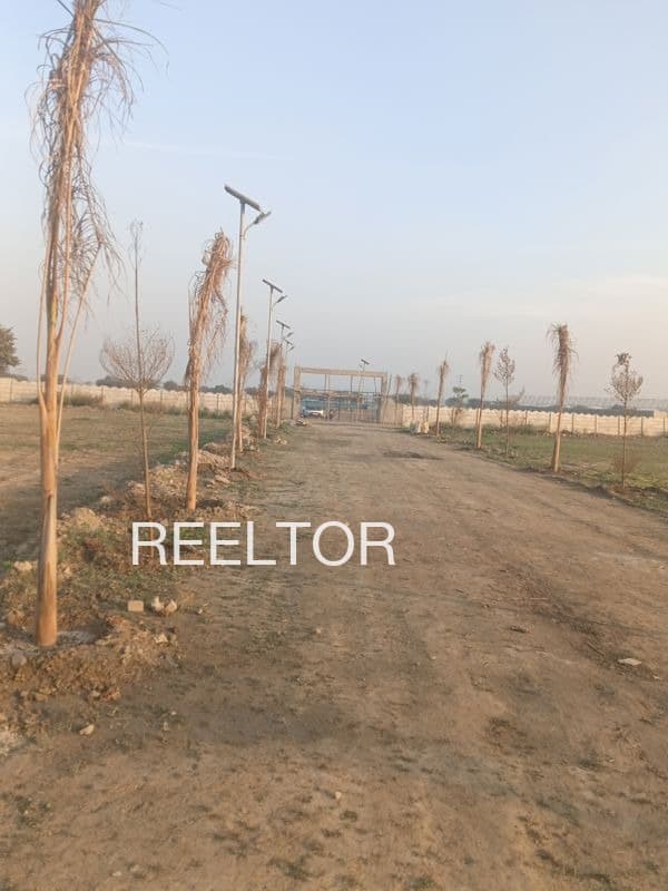 Plots For Rent In Tachchakudi Karaikkudi