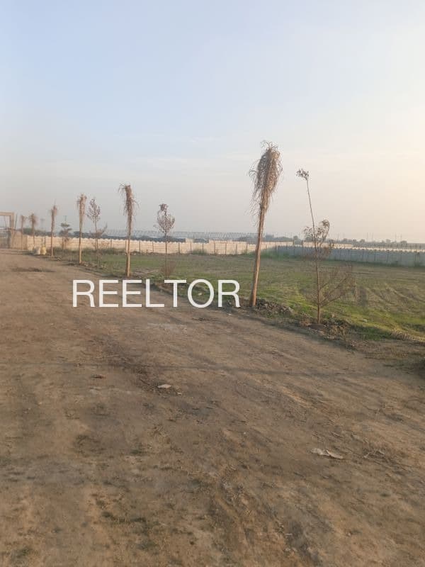 Plots For Rent In Karso Ka Khera Vallabhnagar