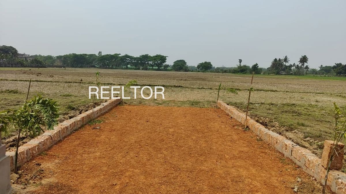 Plots For Rent In Jambharun Parande Washim
