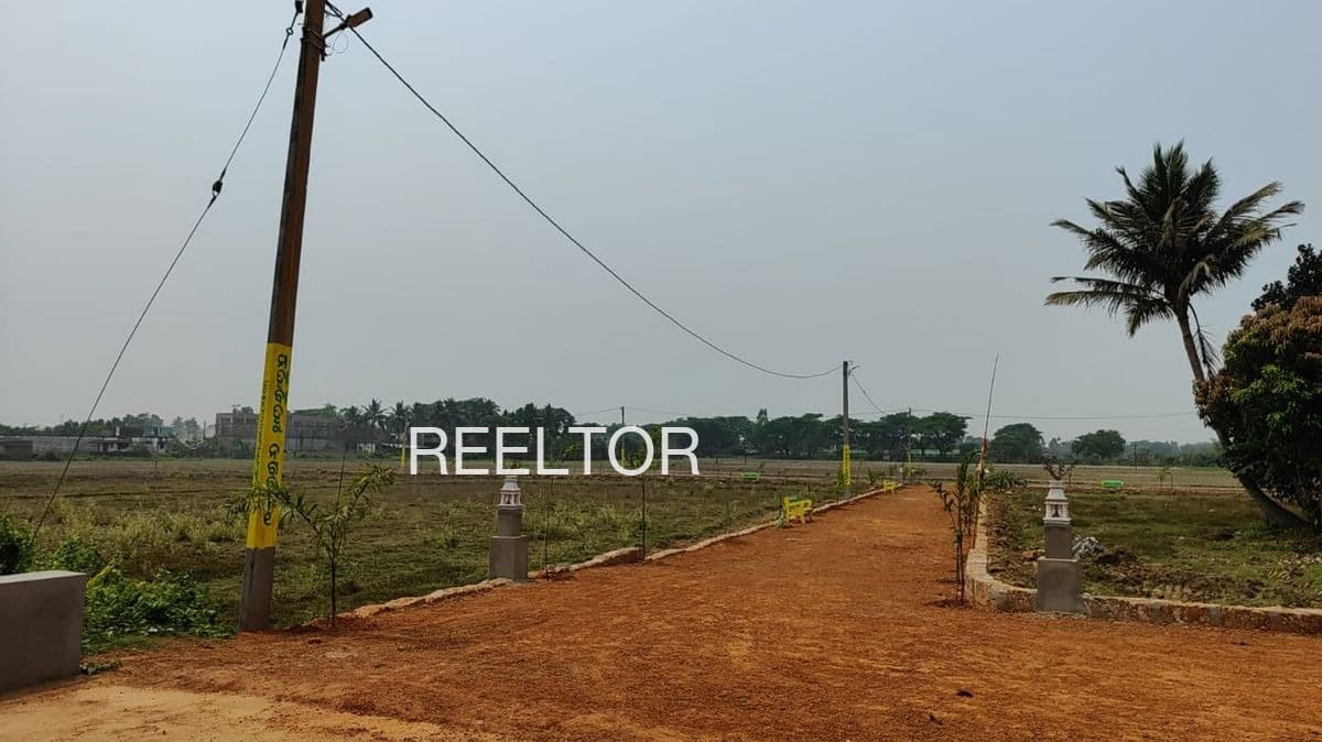 Plots For Rent In Jhundpura Dadri