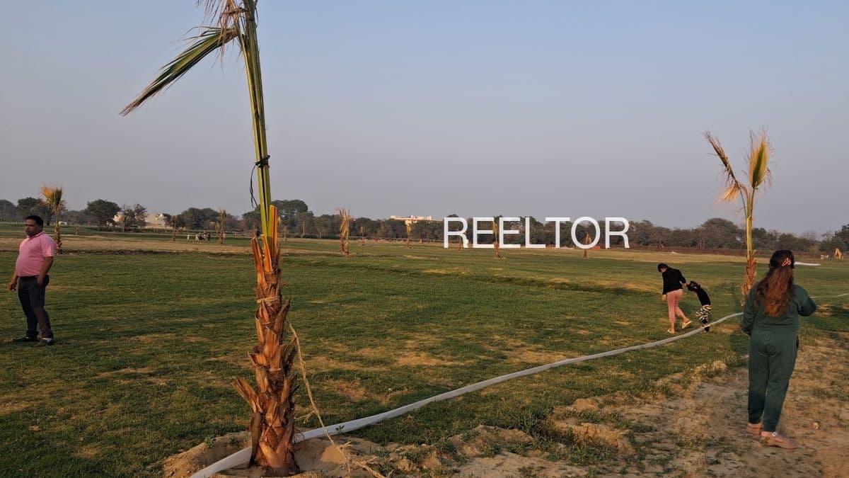 Plots For Rent In Boravh Mangrulpir