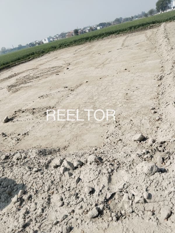 Plots For Rent In Chak Biloli Malarna Doongar