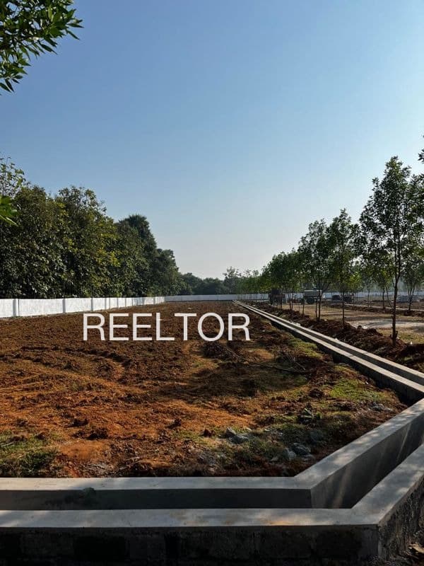 Plots For Rent In Lalganj Kishanganj