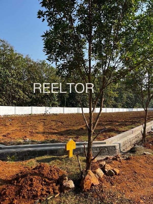Plots For Rent In Koomamkkad Colony Alathur