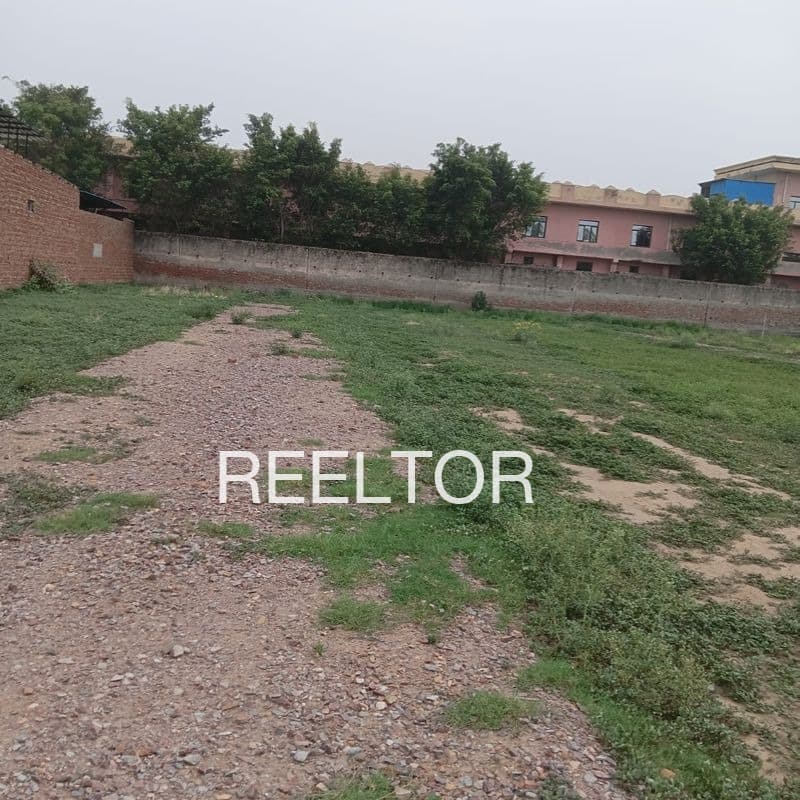 Plots For Rent In Harpaloo Ramsukh Rajgarh