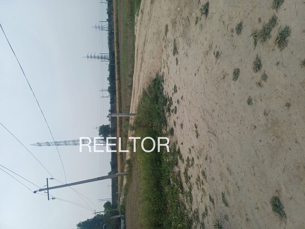 Plots For Rent In Hanuman Ka Nagla Kumher