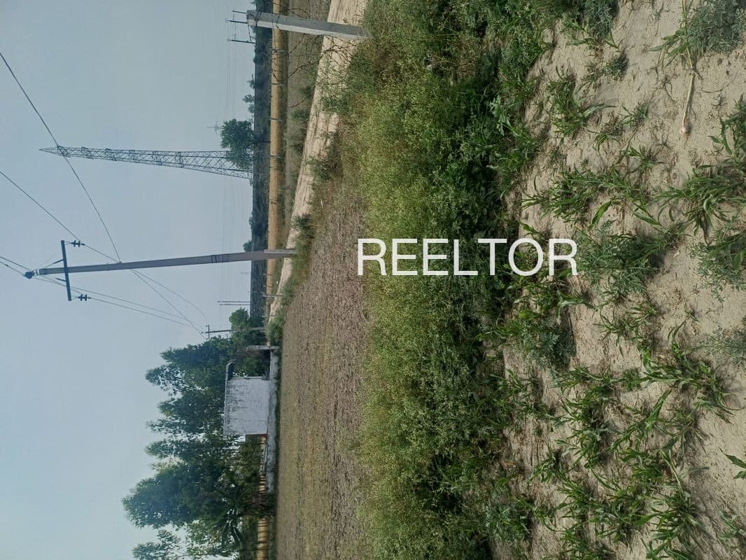 Plots For Rent In Bandokaput Nandapur