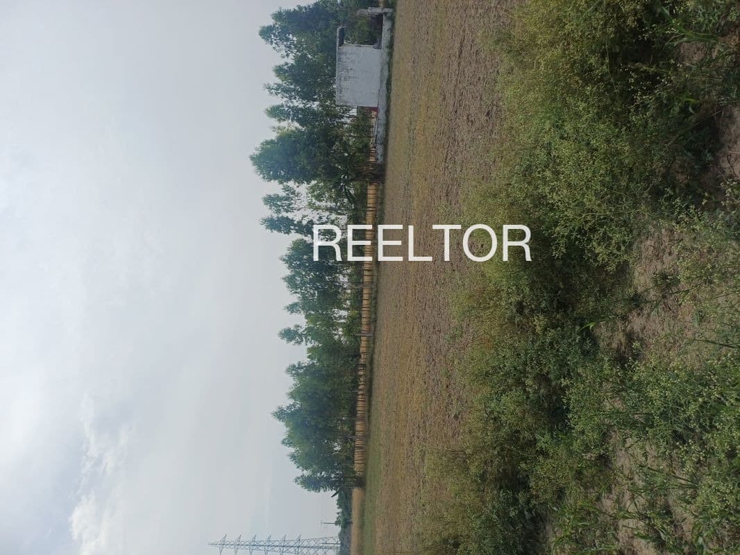 Plots For Rent In Narhat Thanagazi