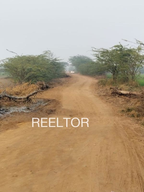 Plots For Rent In Ranaheda Ghatiya