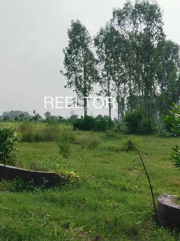 Plots For Rent In Chilkana Saharanpur