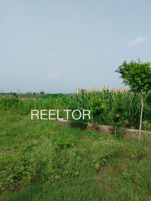 Plots For Rent In Jakh Nali Ani