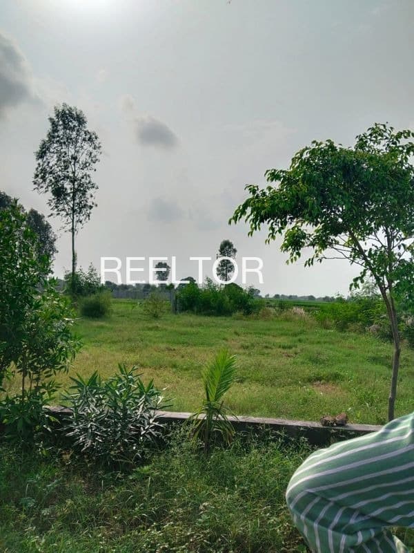 Plots For Rent In Anjanpur Ambejogai