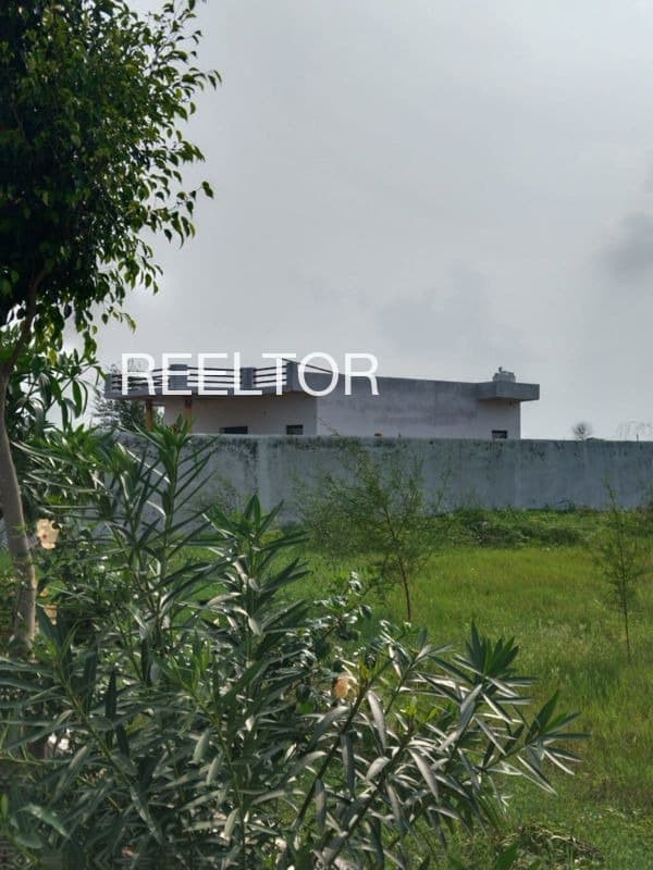 Plots For Rent In Rashyali Theog