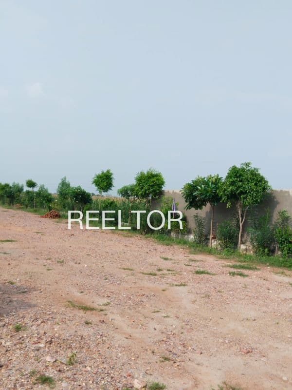 Plots For Rent In Belakoba Rajganj