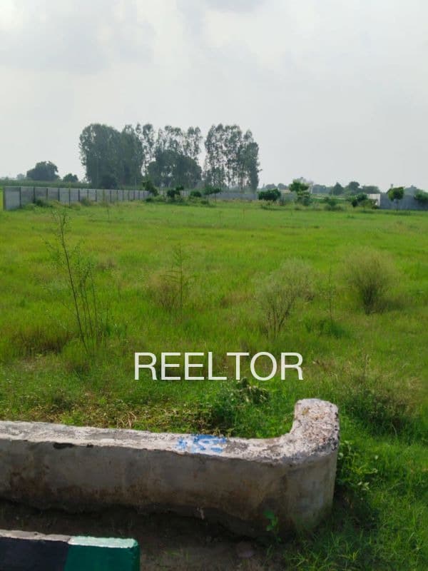 Plots For Rent In Vijai Pura Pipalda