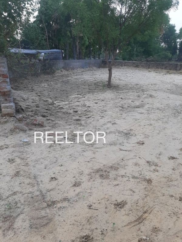 Plots For Rent In Machur Jamunamarathoor