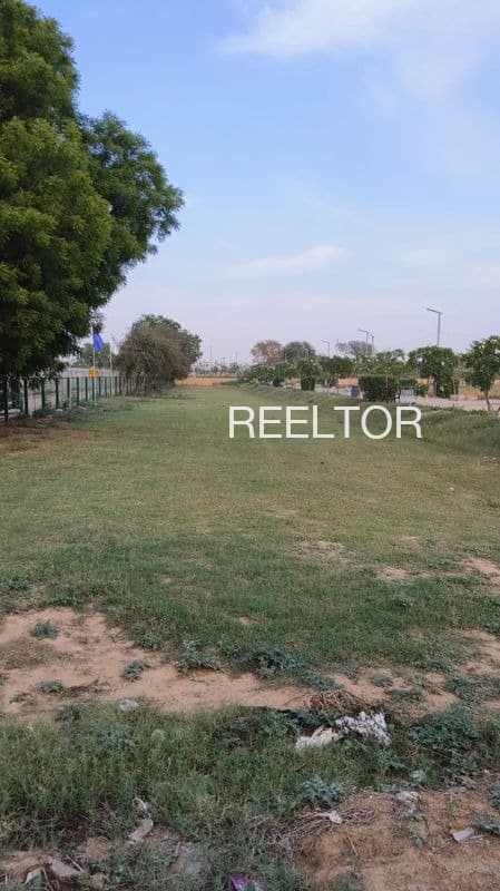 Plots For Rent In Koloo Kheri Chhabra