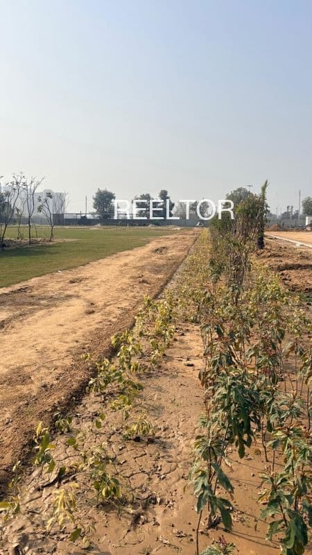 Plots For Rent In Melaipatti Tiruchuli
